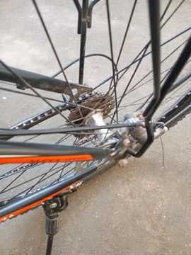 Veloseped 29-razmerli (alteza)