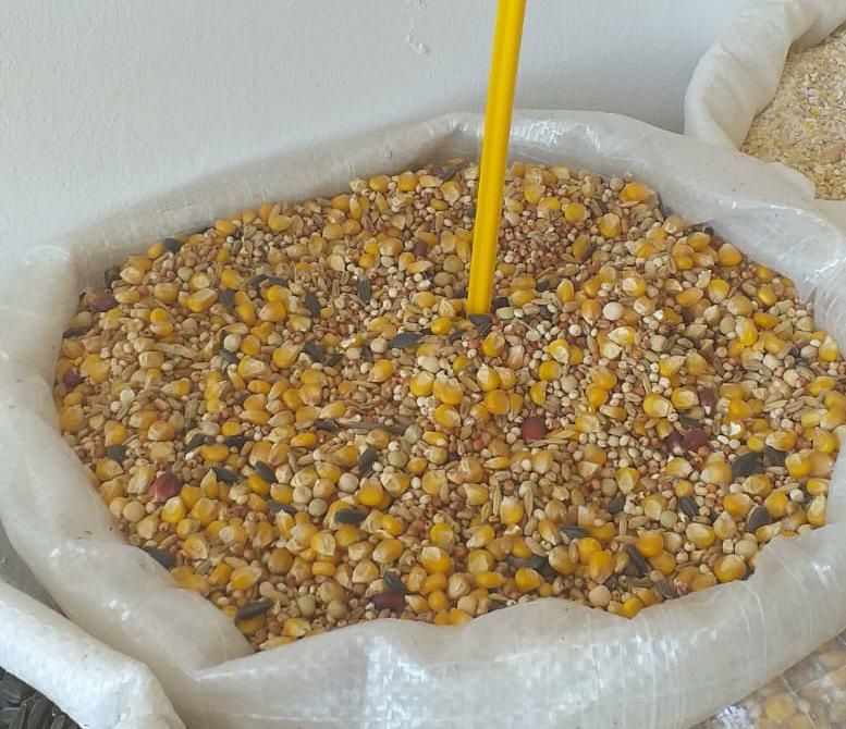 Amestec Porumbei/Top Mineral Mixt