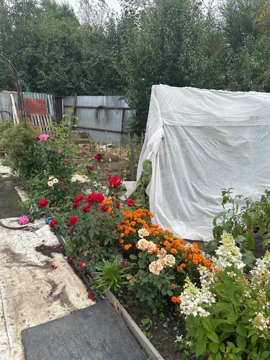 Продам дачу в СО Садовод