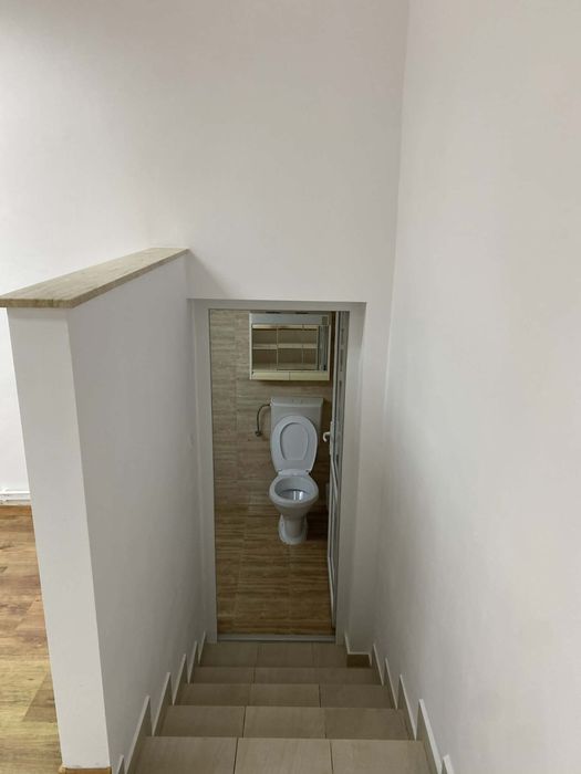 De închiriat spațiu – zonă centrală, Horea