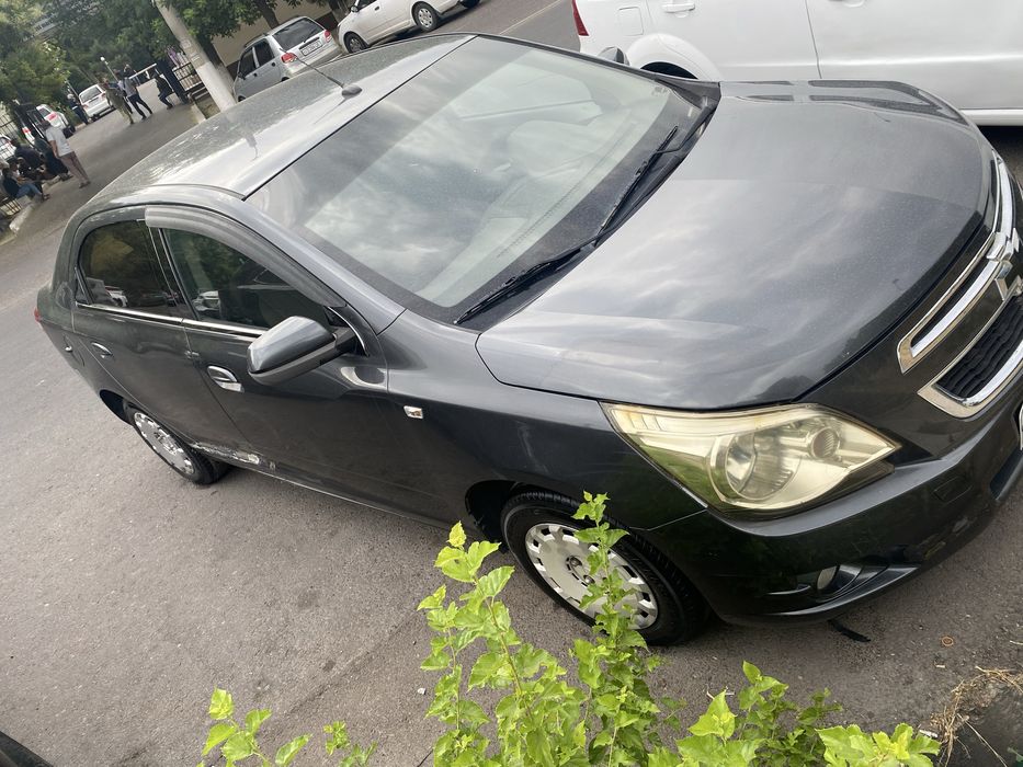 Kobilt 2019 Mokriy