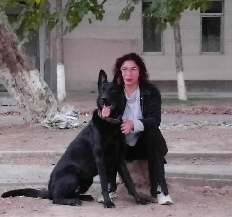 Восточно-европейская овчарка