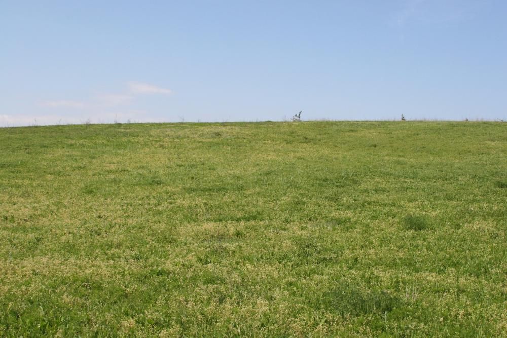 Продава се Парцел в Бяла - 1294 кв.м за 26 €/кв.м - Снимка #2