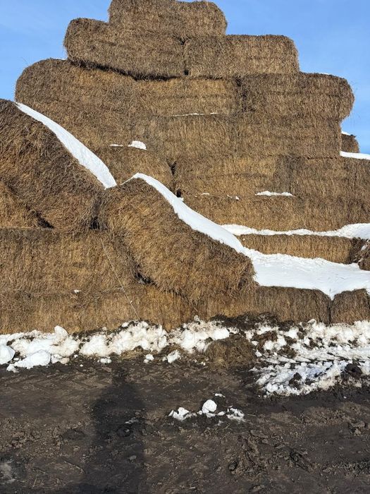 Сено, солома, люцерно