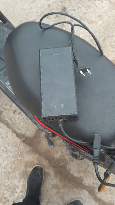 Yangi va arzon squter