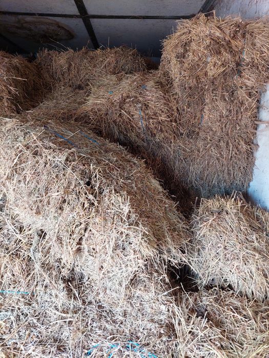 Vând baloți de fân