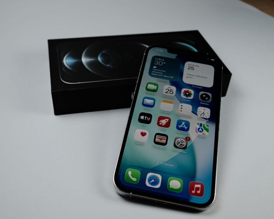 iPhone 12 Pro Max 256GB, Silver, добро състояние, Apple Diagnostics, кутия, кабел