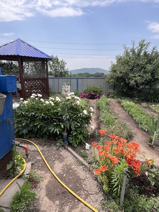 Продам дачу Кожохово