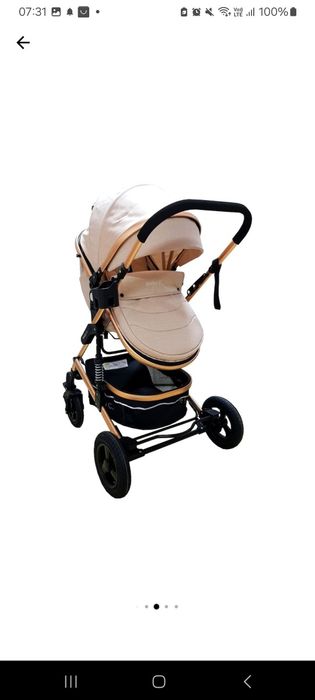 Caruciorul pentru copii Baby Care PRO 531