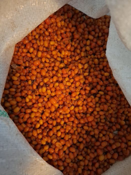 Vand catina congelata