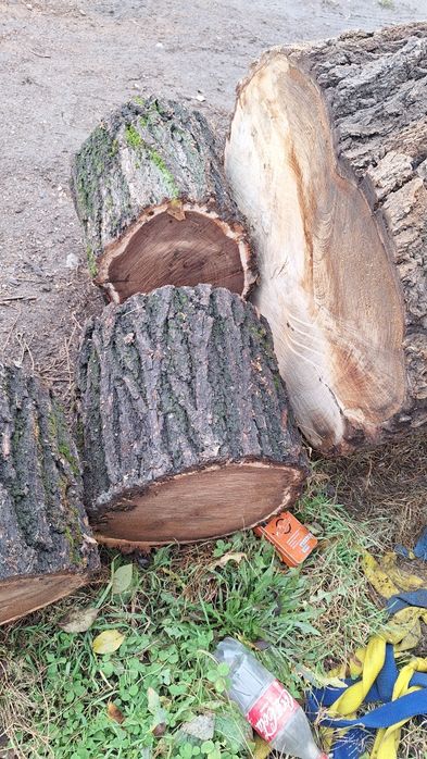 Продам слебы карагача