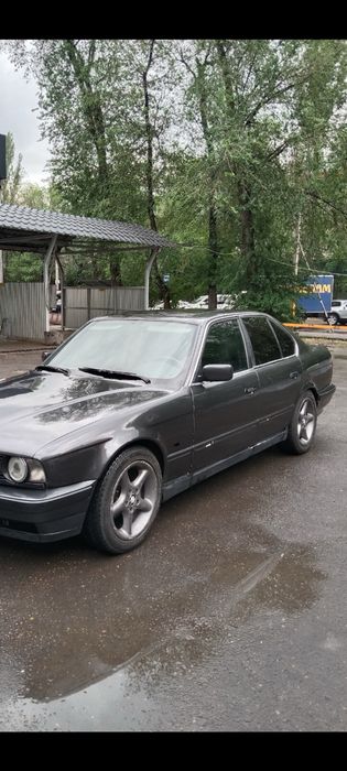 Автошины……………………