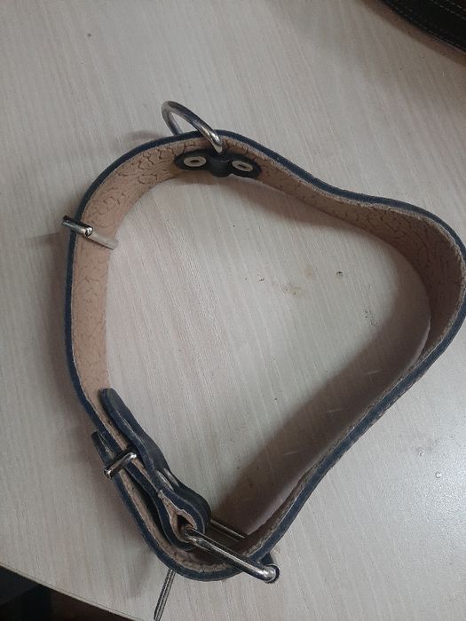 Кожени каишки и метален повод за куче.