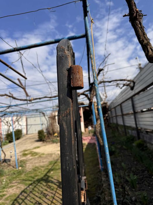 Vând set complet de porți metalice din fier (model decorativ)