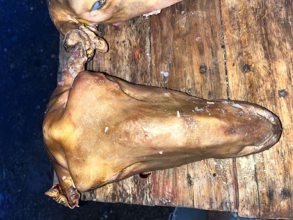 Продаю боранью голову