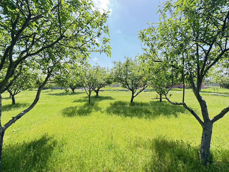 Земля на продажу 5 соток Корасув 24900$