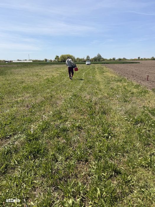 Teren intravilan agricol în rate Sag, cartierul nou
