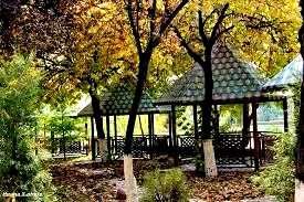 Высоко потолочная квартира 2/2/4 по ул. Шота Руставели г.Ташкента