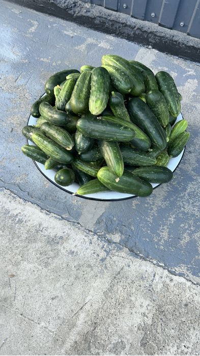 Продам продам продам