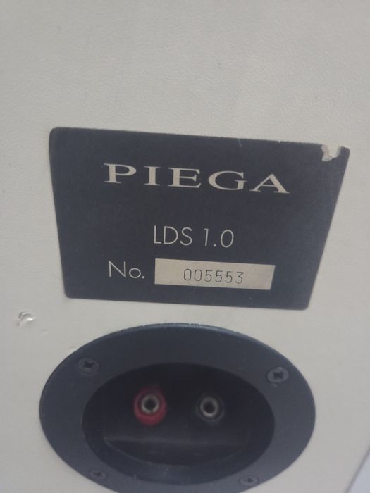 Boxe Hi-Fi PIEGA LDS 1.0