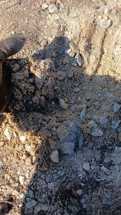 Доставка ЗИЛ 24/7