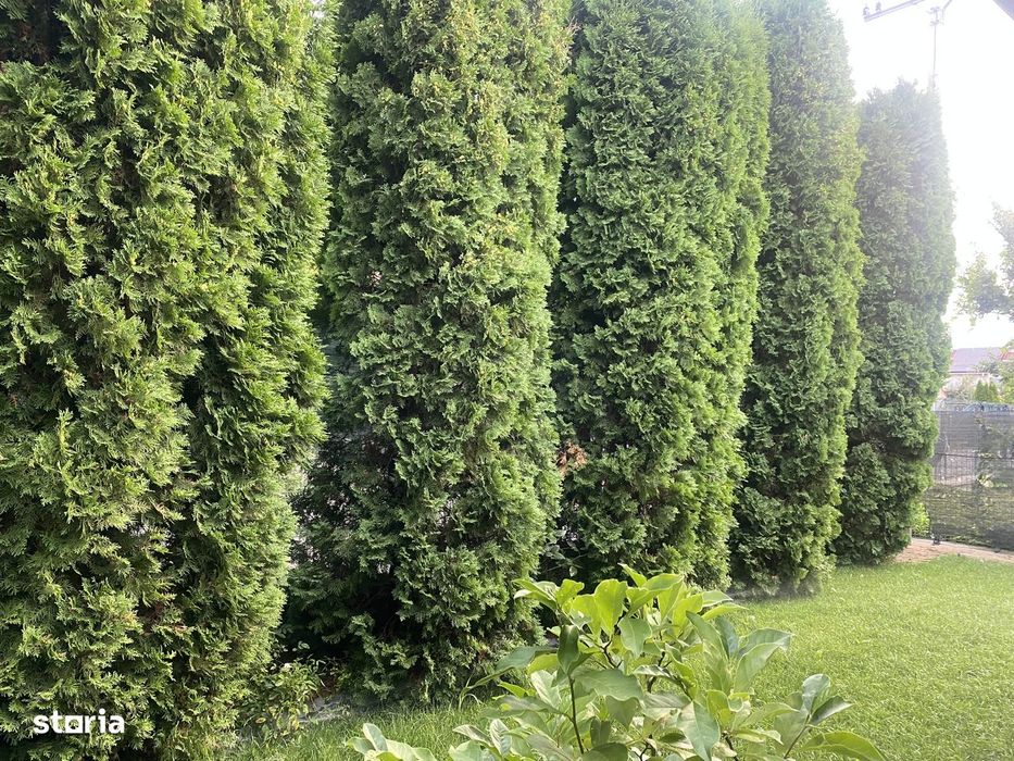 Casa - Duplex Serbanesti
