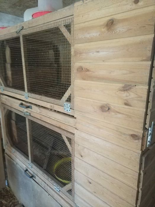 Брудер для цыплят