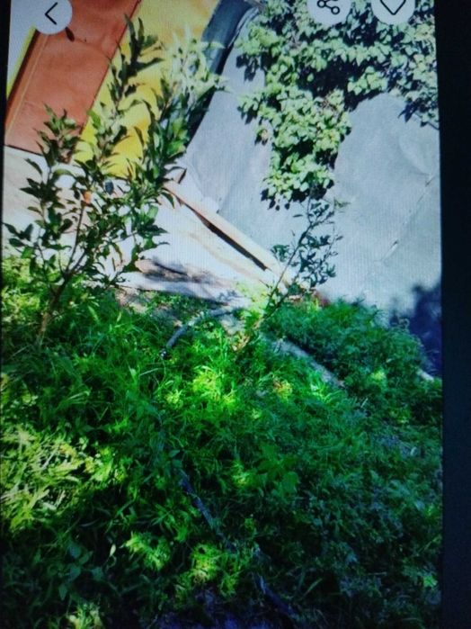 Продам огородный участок