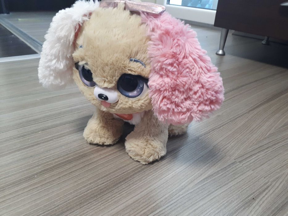 Present pets кученце