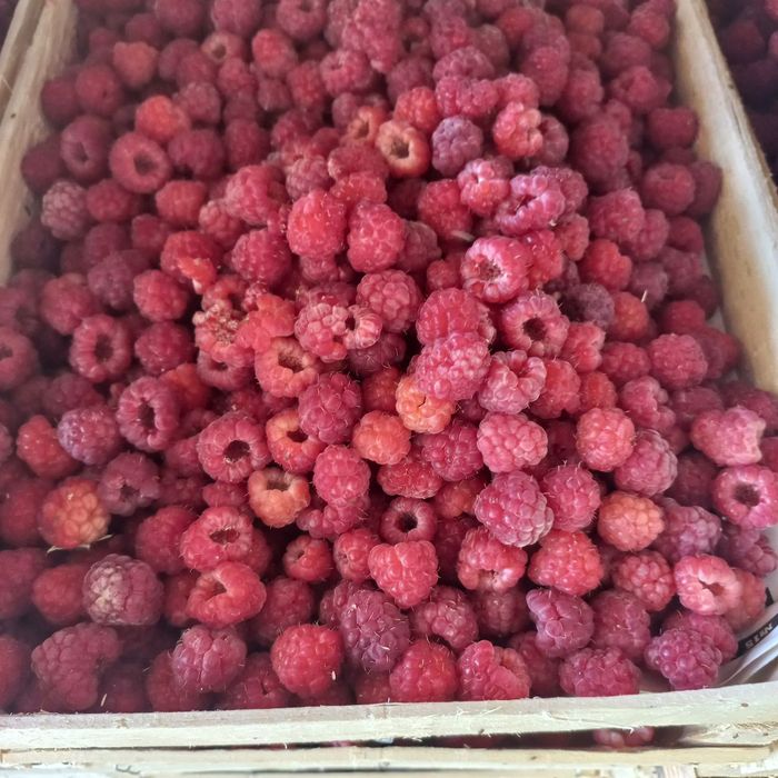 Замороженные Малина есть Музлатилган Малина Смародиналардар бор