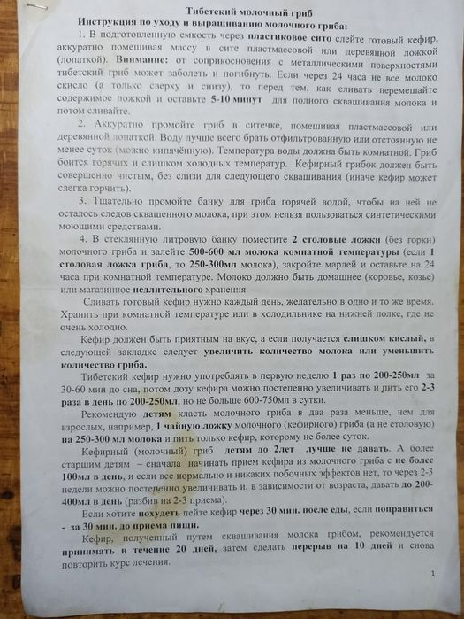 Тибетский молочный гриб