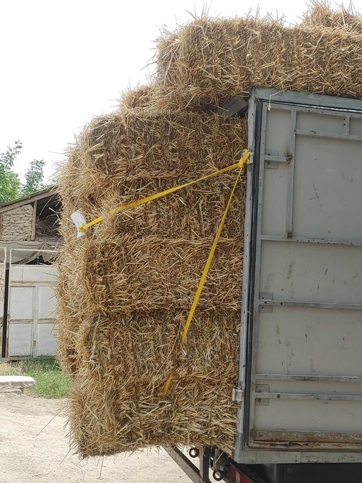 somon bor  120 lik     Namangan