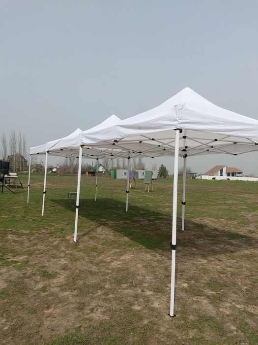 Аренда   Палатки