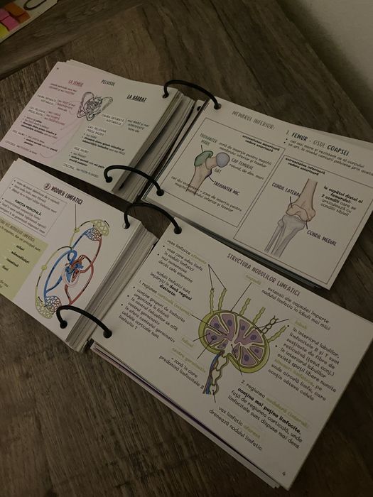 Flashcarduri Medicinist Barrons