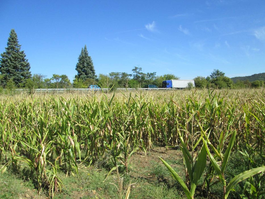 Продавам имот в землището на село Горна Малина  директно до главен път