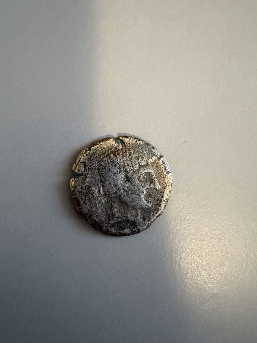 Lot 300 Monede