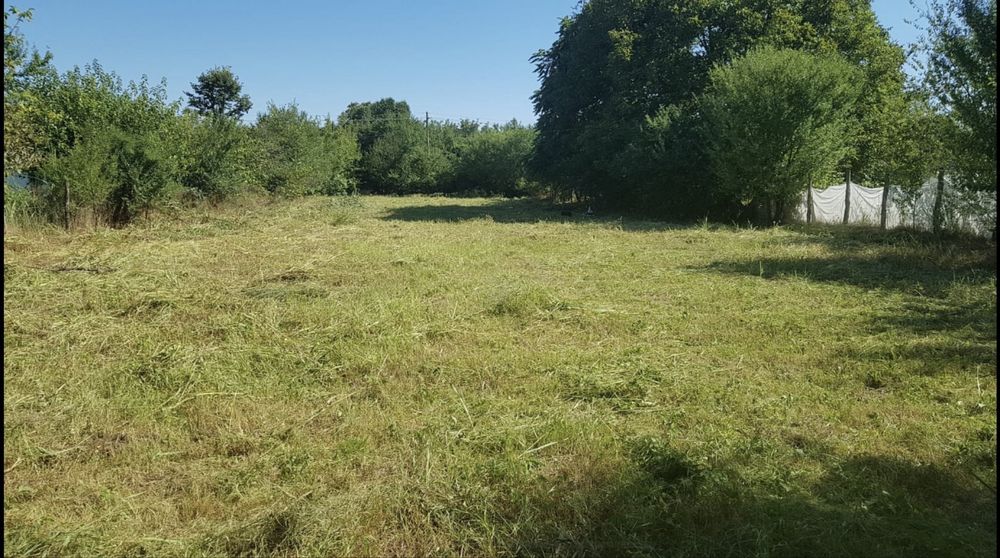 Vand teren 1560mp in Lipia (Gruiu-Snagov) Ilfov