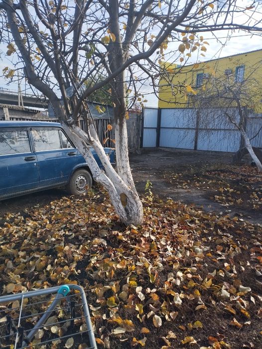Продается ДОМ  срочно торг