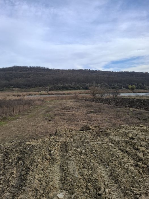 Teren Sorogari cu deschidere la lacul Aroneanu