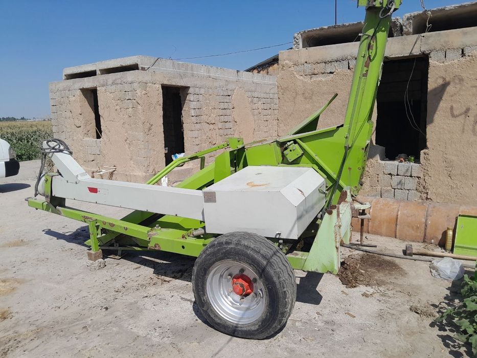 Kulpartura makkajoʻxori oʻradigan