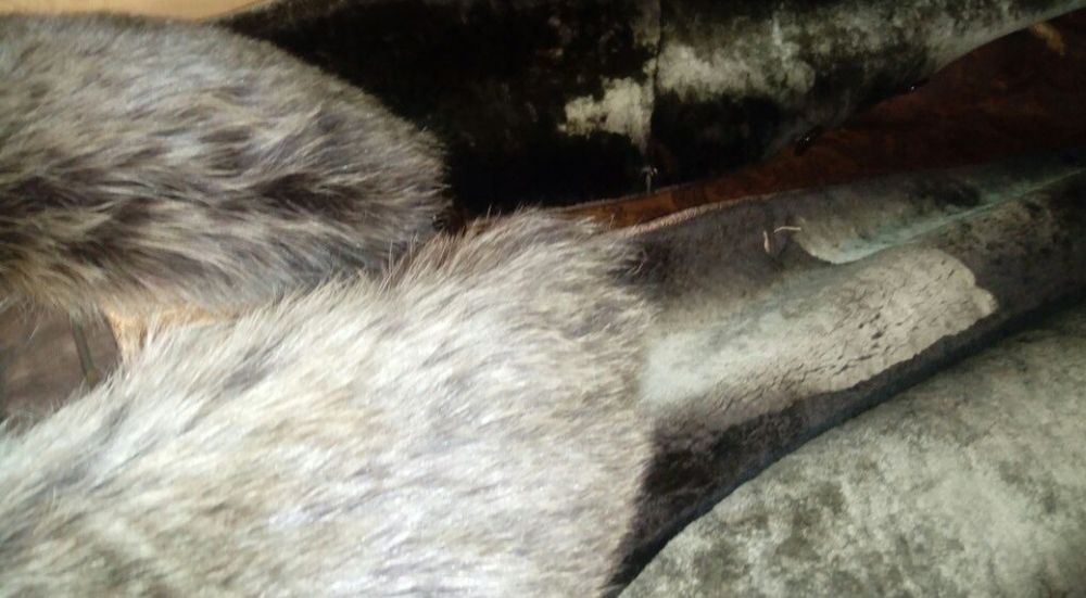 Продам мутоновую шубу