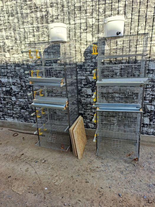 Клетка для перепелов