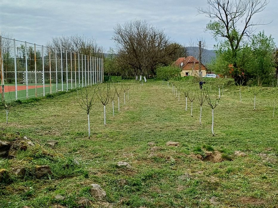Casă de vânzare în Belotinț
