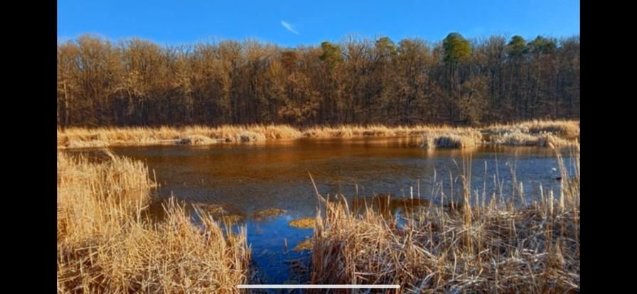 Teren Scroviștea- Balteni