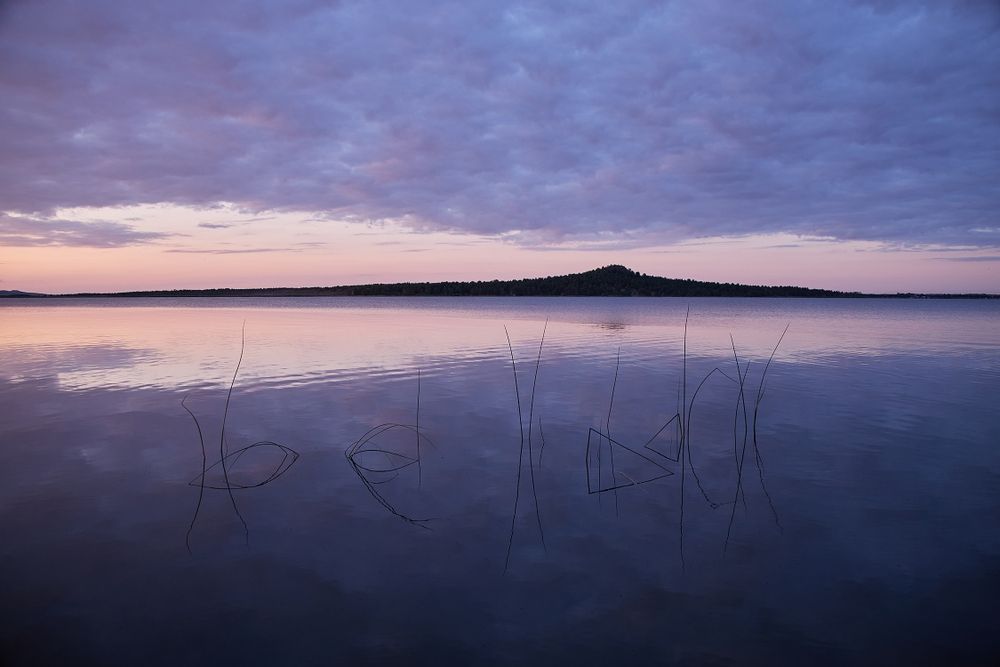 Картина  "природа Казахстана" холс