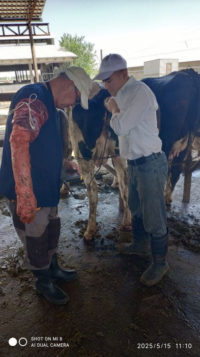 Qishloq xoʻjaligi hayvonlarini pirafilaktika qilish va davolash .