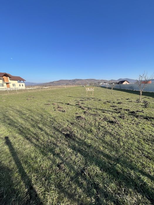 Comuna Brancovenesti teren intravilan 56 ari