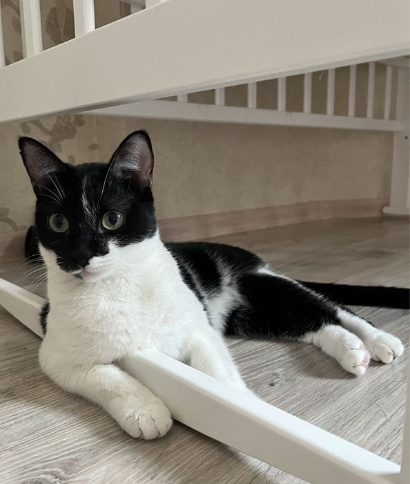 В самые добрые руки