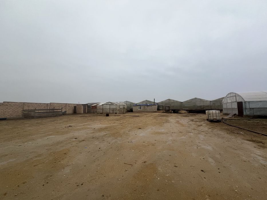 Теплицы срочно сатылады