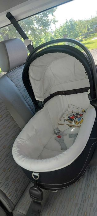 Landou auto nou-nascuți